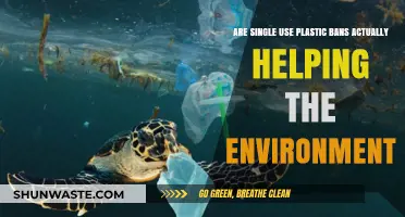 Are Single-Use Plastic Bans Truly Saving Our Planet?