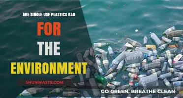 Single-Use Plastics: Environmental Impact and Sustainable Alternatives Explored
