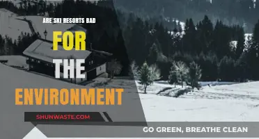 Ski Resorts and Environmental Impact: Sustainable Slopes or Ecological Threat?