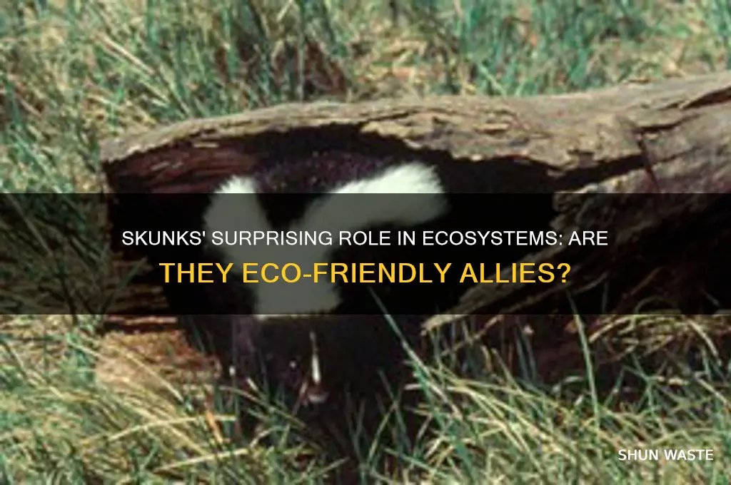 are skunks good for the environment