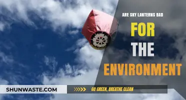Sky Lanterns: Environmental Hazard or Harmless Tradition?