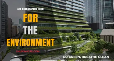 Skyscrapers and Sustainability: Environmental Impact of Urban High-Rises