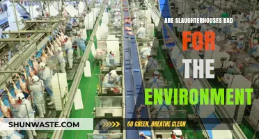Slaughterhouses' Environmental Impact: Uncovering the Hidden Ecological Costs