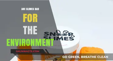 Are Slime Toys Eco-Friendly or Harmful to Our Planet?