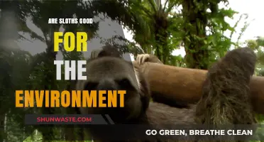 Sloths' Eco-Impact: Unveiling Their Surprising Environmental Benefits