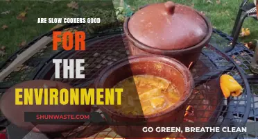 Eco-Friendly Cooking: Are Slow Cookers Environmentally Sustainable?
