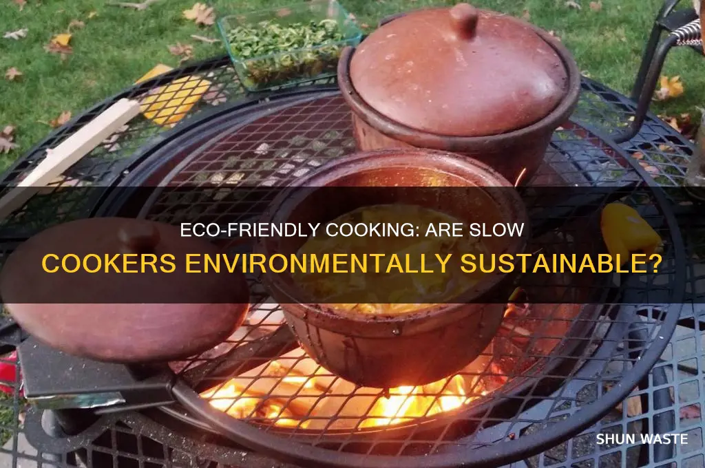 are slow cookers good for the environment