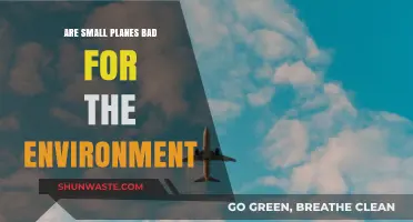 Small Planes' Environmental Impact: Sustainable Skies or Hidden Harm?