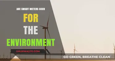 Smart Meters: Eco-Friendly Solution or Environmental Myth?