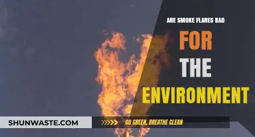 Smoke Flares and Their Environmental Impact: A Comprehensive Analysis