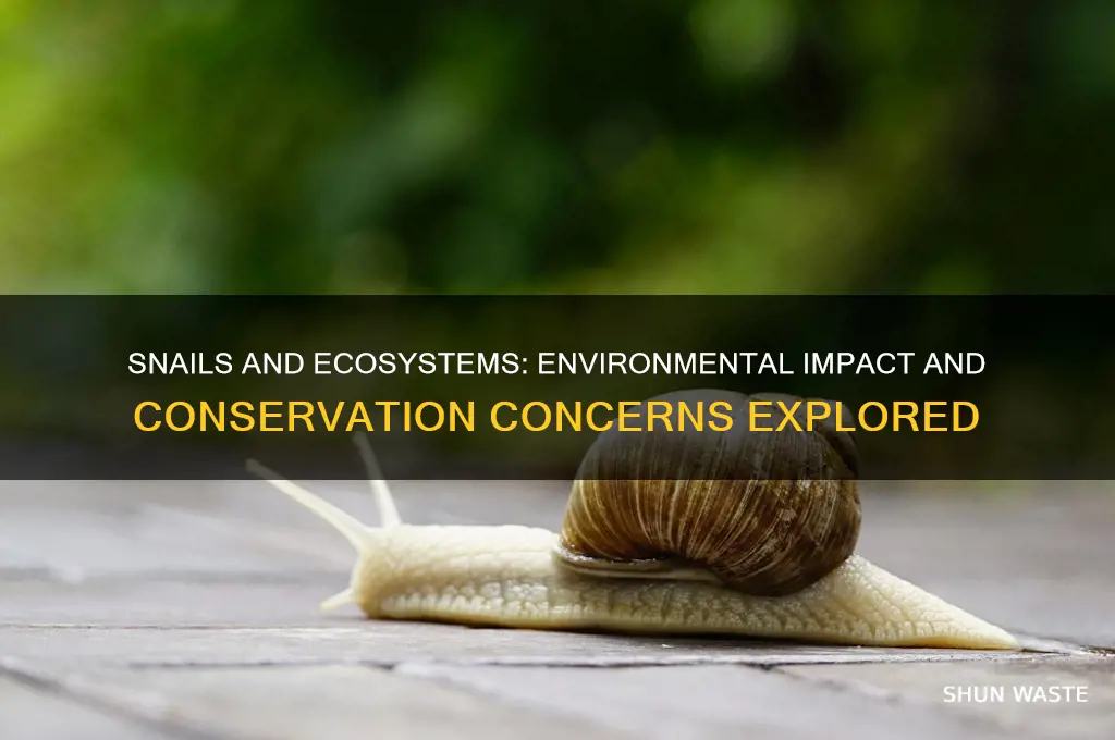 are snails bad for the environment