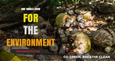 Snails' Environmental Impact: Beneficial or Harmful to Ecosystems?