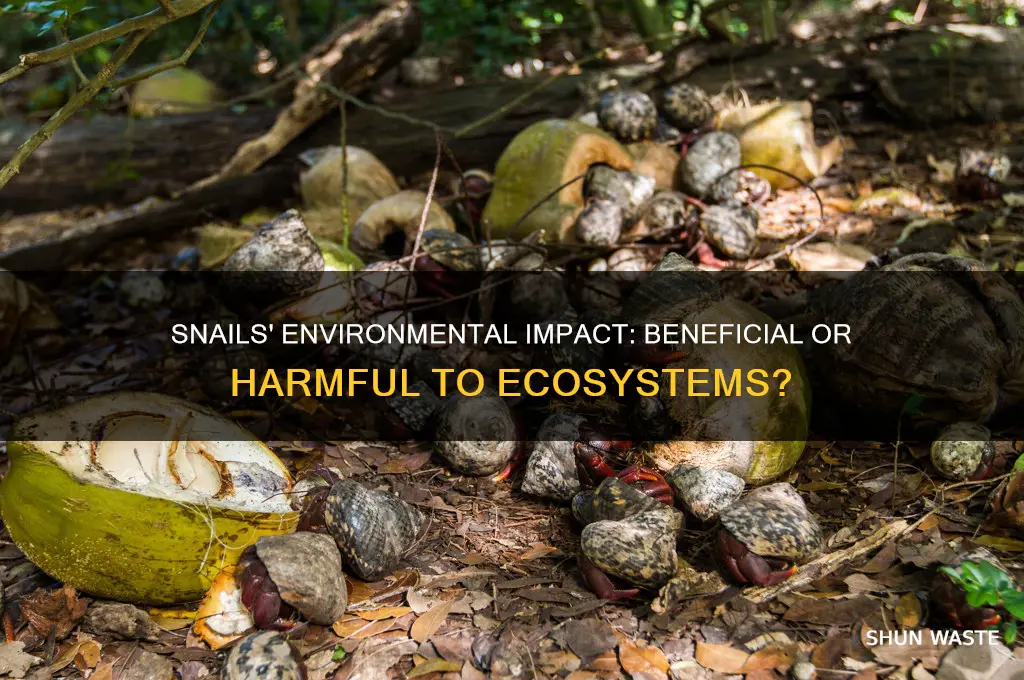 are snails good for the environment