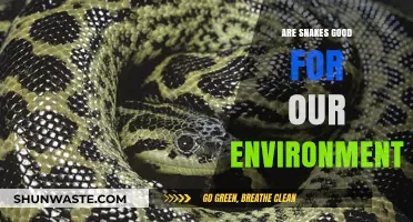 Snakes: Essential Environmental Allies or Misunderstood Predators?