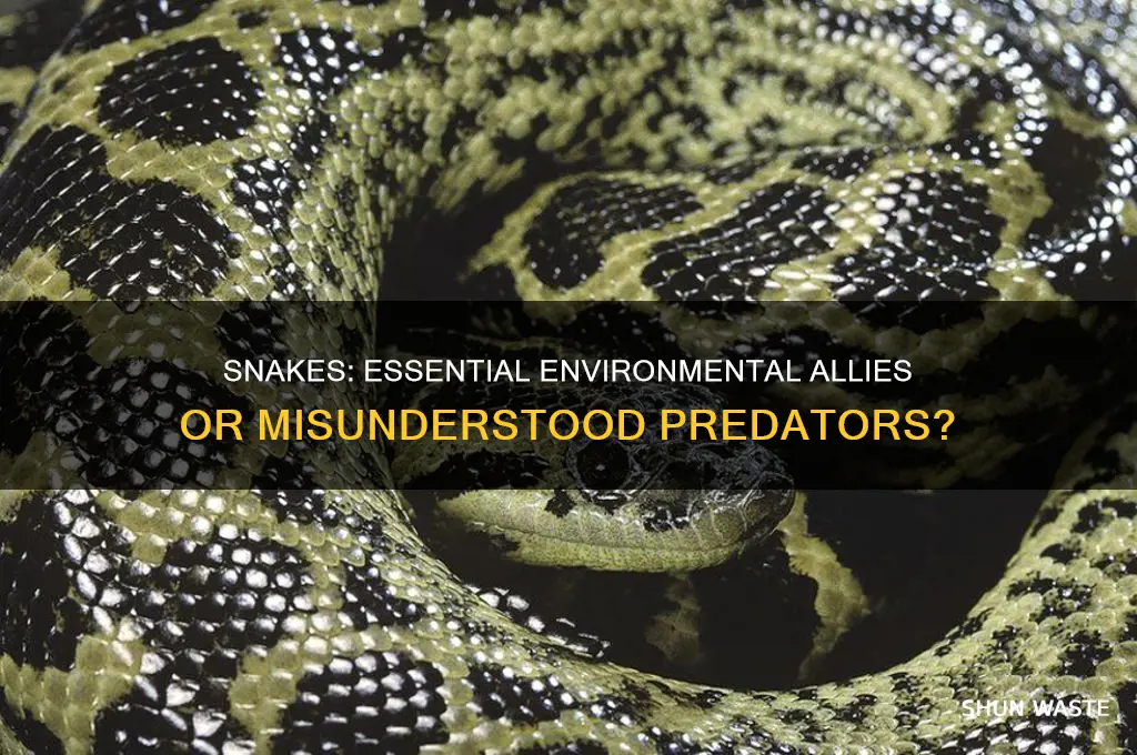 are snakes good for our environment