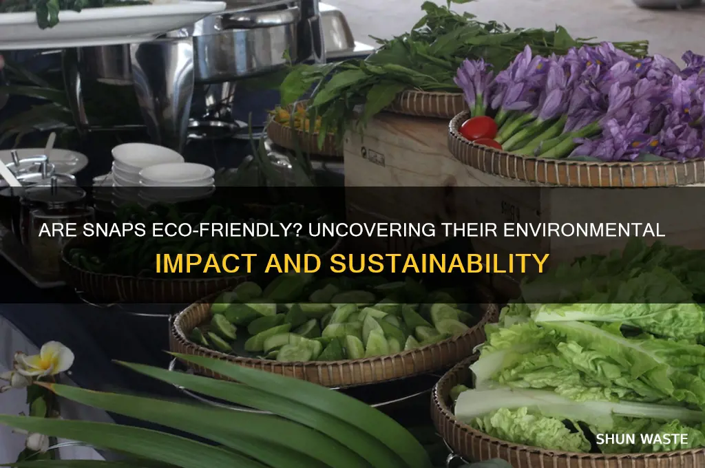 are snaps bad ffor environment