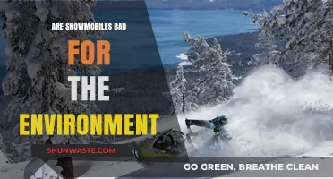 Snowmobiles and the Environment: Uncovering Their Ecological Impact and Concerns