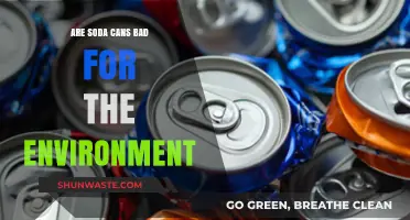 Soda Cans' Environmental Impact: Recycling Myths and Sustainable Alternatives