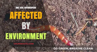 Environmental Impacts on Soil Arthropods: Exploring Ecosystem Changes and Adaptations