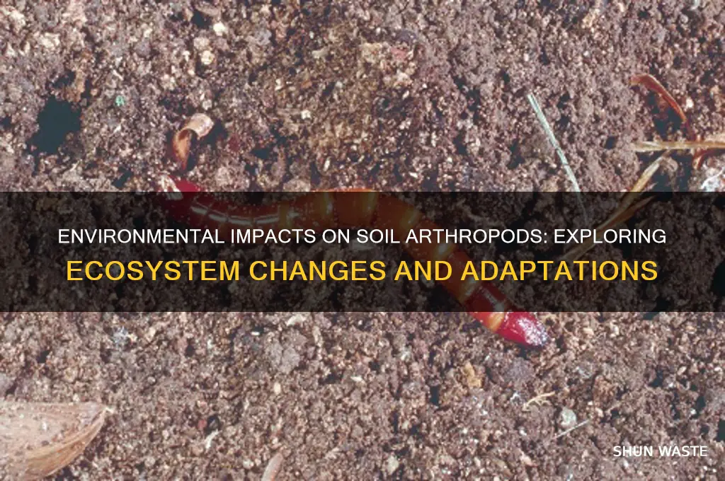 are soil arthropods affected by environment