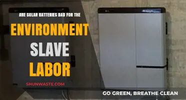 Solar Batteries: Environmental Impact and Ethical Labor Concerns Explored