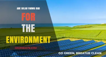 Solar Farms and the Environment: Uncovering the Ecological Impact and Benefits