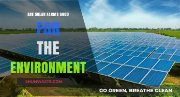 Solar Farms: Environmental Savior or Ecological Challenge?