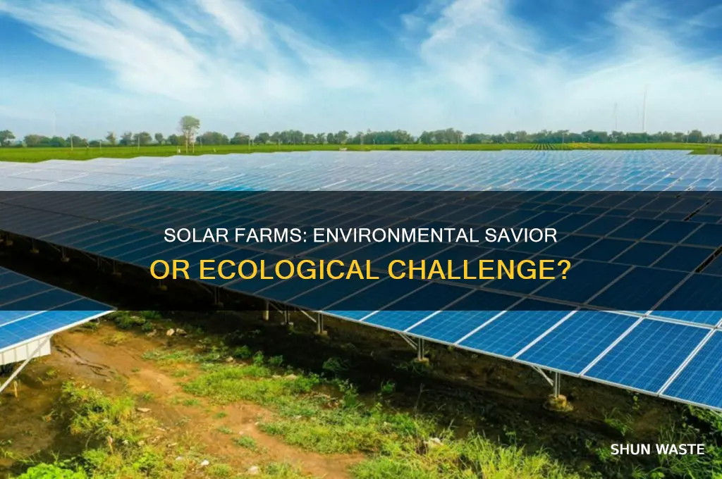 are solar farms good for the environment