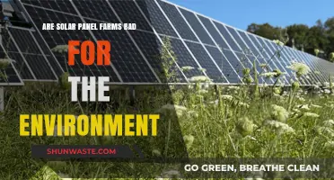 Solar Farms: Environmental Savior or Hidden Ecological Threat?