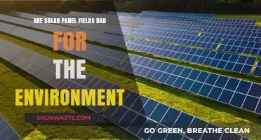Solar Panel Fields: Environmental Savior or Hidden Eco-Threat?