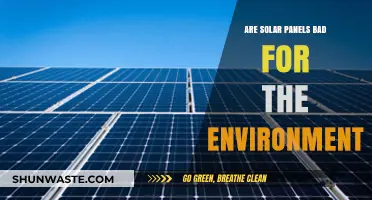 Solar Panels and the Environment: Uncovering the Hidden Ecological Impact