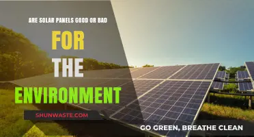 Solar Panels: Eco-Friendly Solution or Environmental Dilemma?