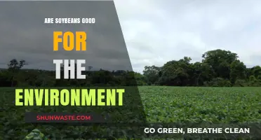 Soybeans and Sustainability: Environmental Benefits and Farming Practices