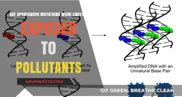 Pollution Exposure: Triggering Spontaneous Mutations?