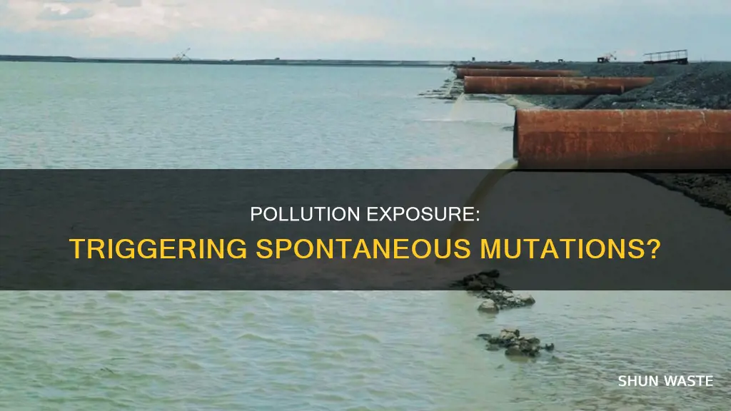 are spontanous mutations more likely if exposed to pollutants