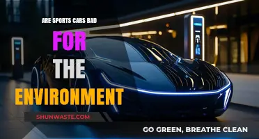Sports Cars and Environmental Impact: A Sustainable Driving Dilemma