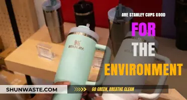 Eco-Friendly Hydration: Are Stanley Cups Environmentally Sustainable?