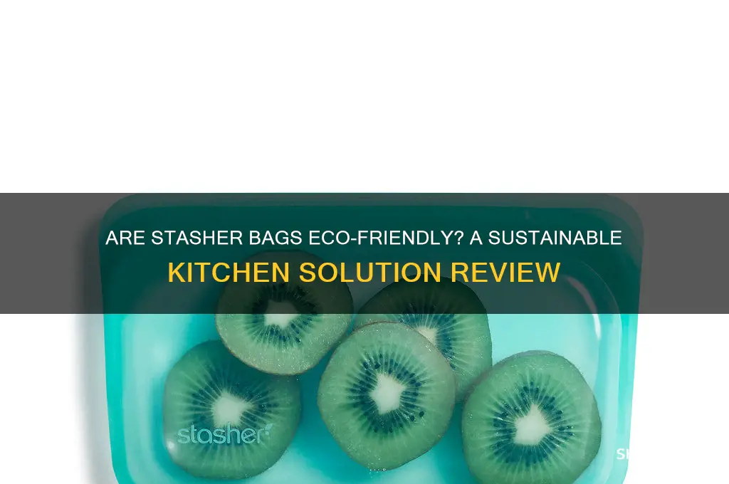 are stasher bags good for the environment