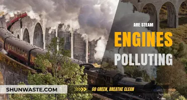 Steam Engines: Polluting or Not?
