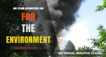 Steam Locomotives: Environmental Impact and Historical Legacy Explored