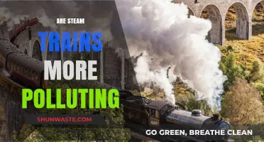 Steam Trains: Polluting the Environment?