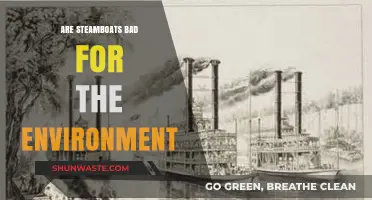 Steamboats and Ecology: Assessing Their Environmental Impact and Sustainability