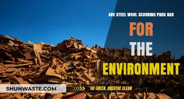 Steel Wool Scouring Pads: Eco-Friendly or Environmental Hazard?