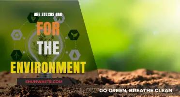 Stocks and Sustainability: Environmental Impact of Investing Explained