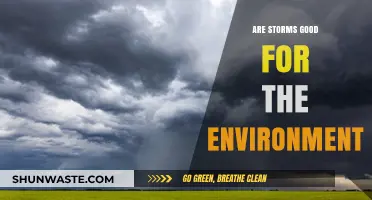 Storms' Environmental Impact: Destructive or Beneficial for Nature's Balance?