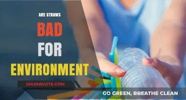 Straws and Sustainability: Uncovering Their Environmental Impact and Alternatives