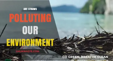 Straws: Environmental Polluters or Necessary Evil?
