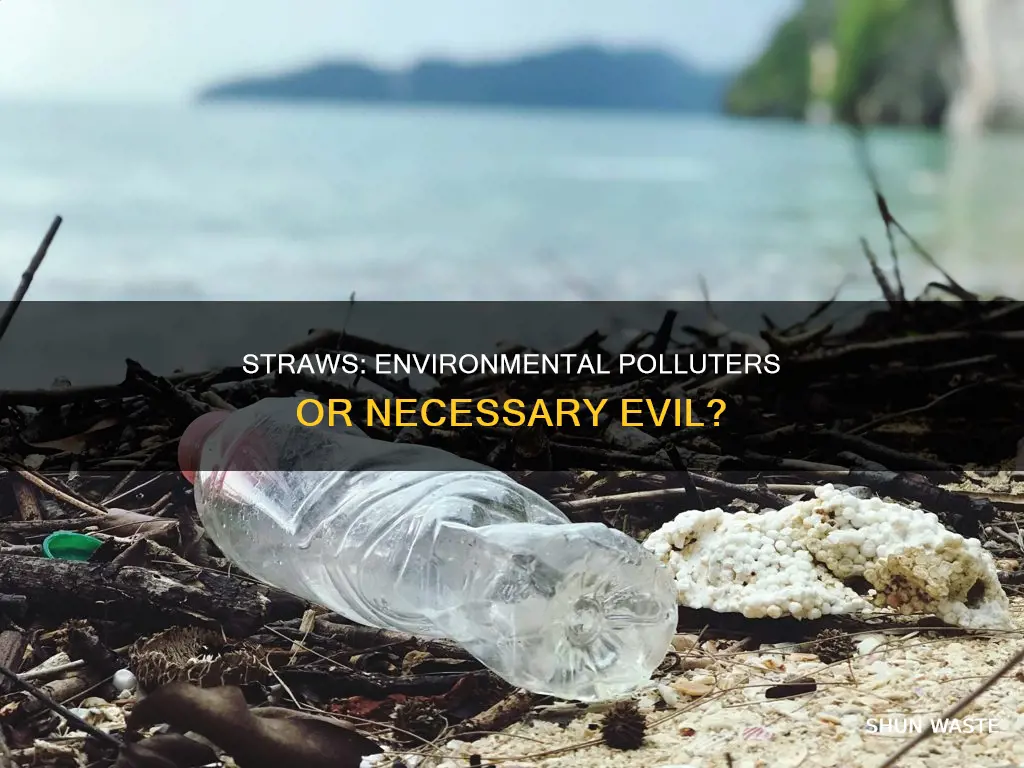 are straws polluting our environment