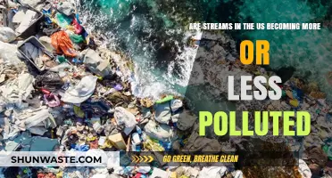 Stream Pollution in the US: Trends and Outlooks