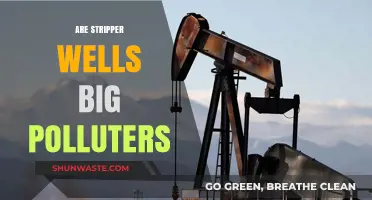 Stripper Wells: Big Polluters or Necessary Evils?